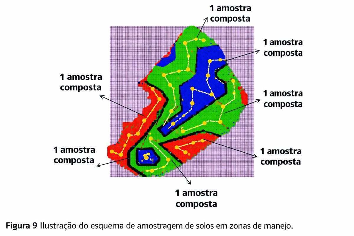 CheckLeaf Advisor - Análisis foliar